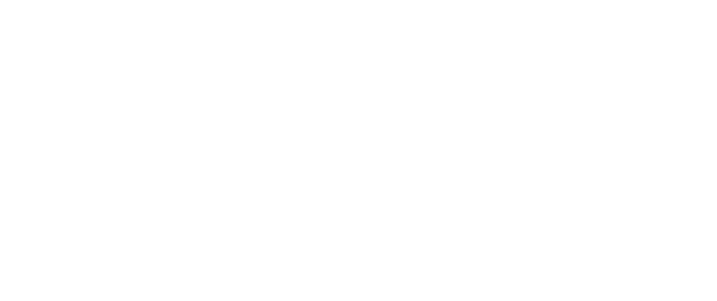 pinselli logo final groß weiß